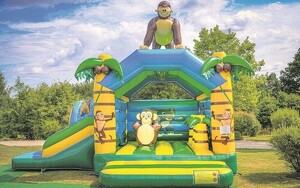 Angebot 244395