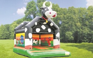 Angebot 244401