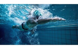 Angebot 250156