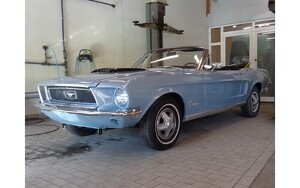 Angebot 251005