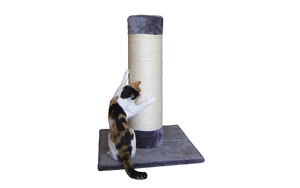 Angebot 251554