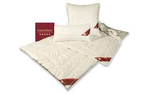 Angebot 252594