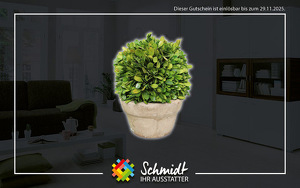 Angebot 252835