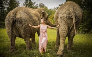 Elefantenauszeit - Schnupperkurs Elefantenranger + Mini-Fotoshooting-Zeit + Kuschelzeit