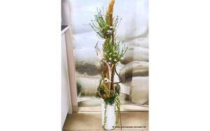 Angebot 256479