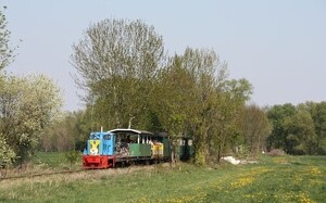 Angebot 1137