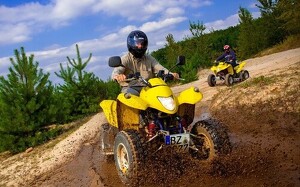 Angebot 250039