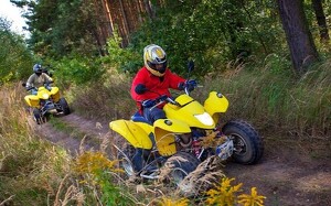 Angebot 250046