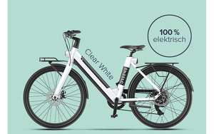 Angebot 250352