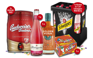 Angebot 250412