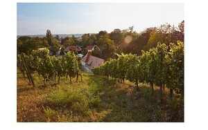Angebot 251210