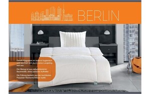 Angebot 251537