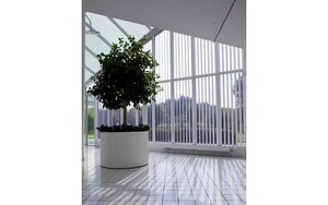 Angebot 251803
