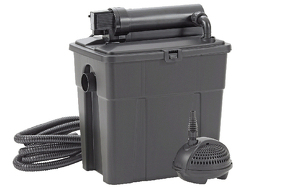 Angebot 251859
