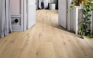 Angebot 253317