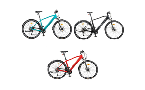 Angebot 257509